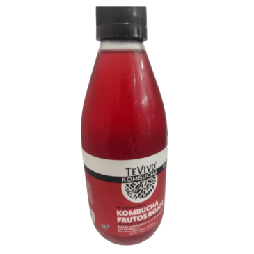 TE VIVO KOMBUCHA X290ML SABORES SURTIDOS