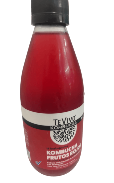 TE VIVO KOMBUCHA X290ML SABORES SURTIDOS